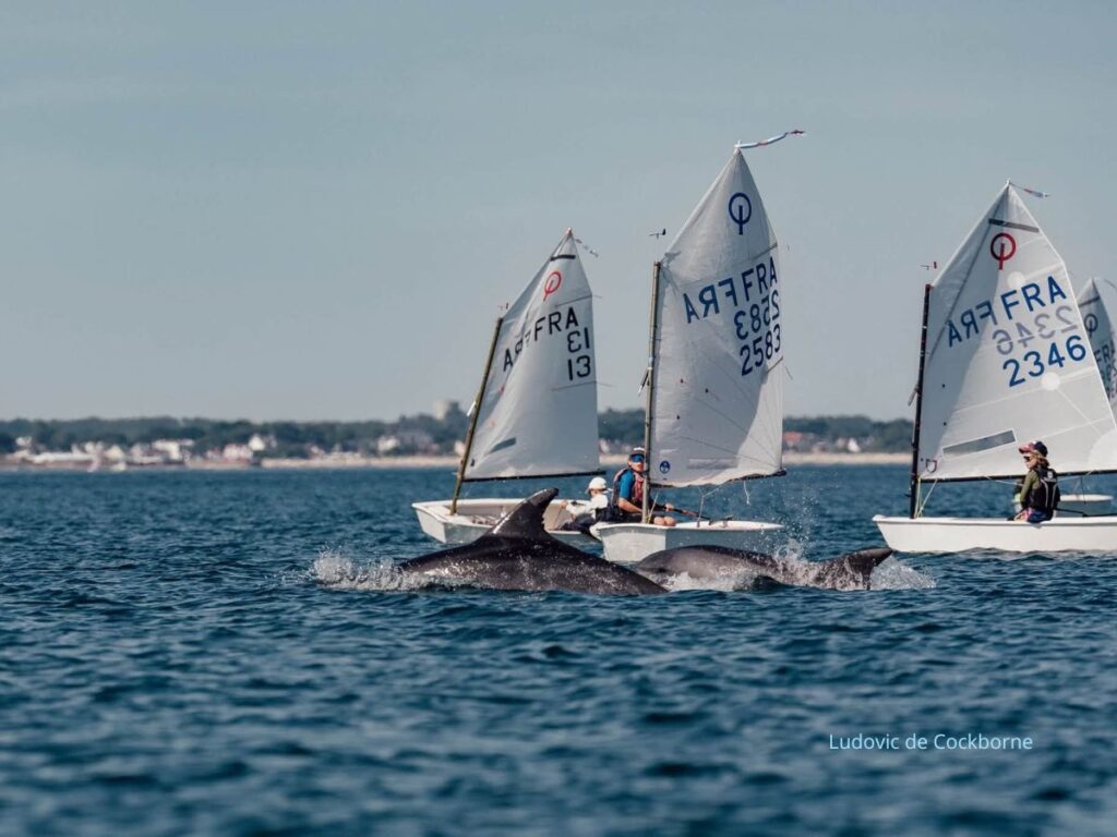 Coupe Internationale d'Ete